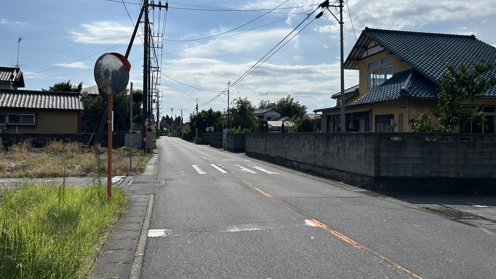 うなぎ沼の背鰭に位置する自然堤防集落