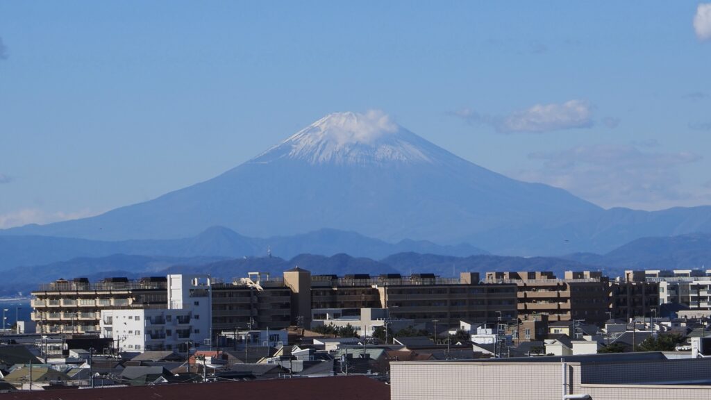 一般の座席でも区間ごと最適な場所を選ぶべきな湘南モノレール