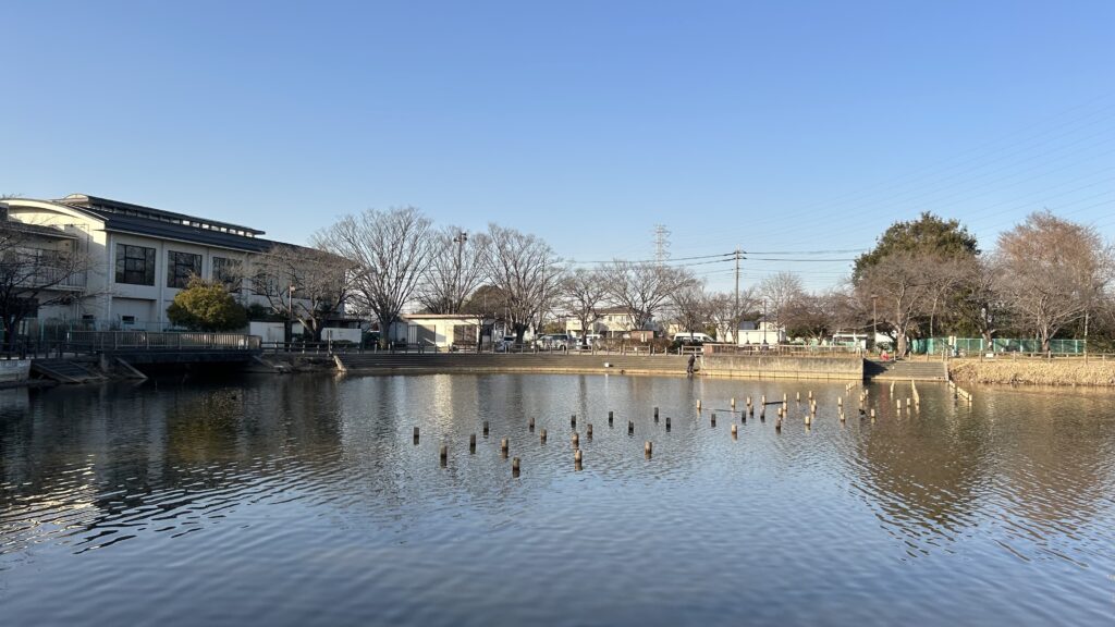 慈恩寺沼(じおんじぬま)