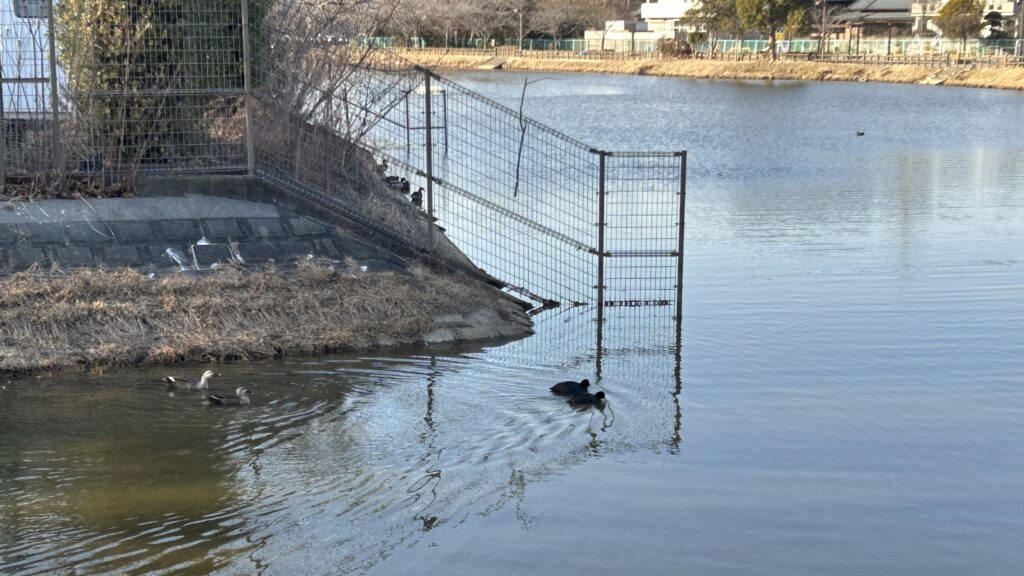 慈恩寺沼(じおんじぬま)