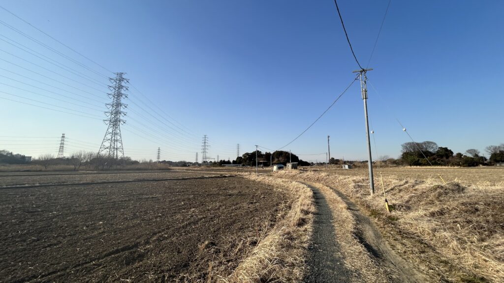 古隅田川自然堤防