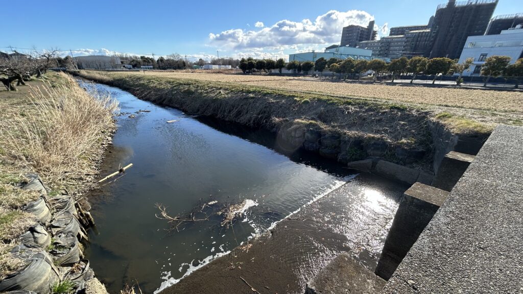 鯉沼堰