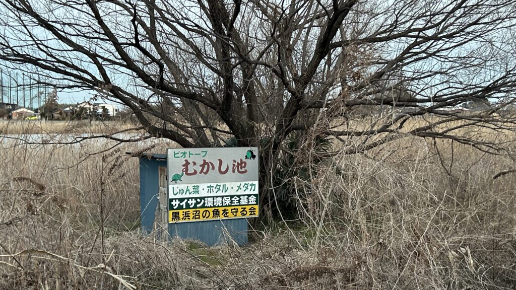 黒浜沼・上沼(くろはまぬま・うえぬま)：蓮田市