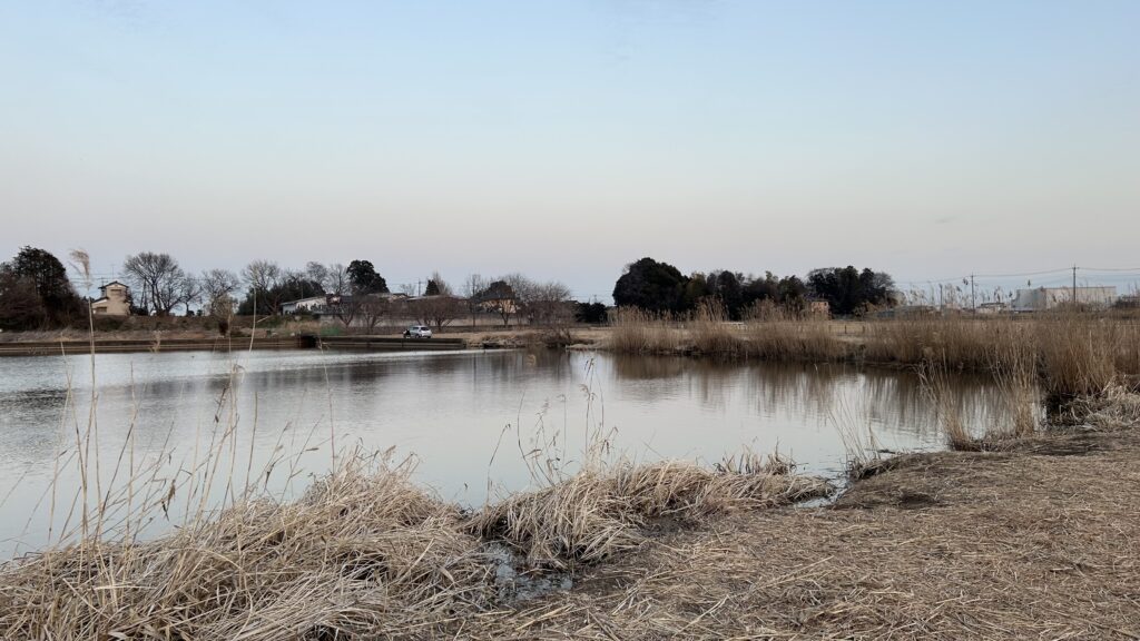 黒浜沼・上沼(くろはまぬま・うえぬま)：蓮田市