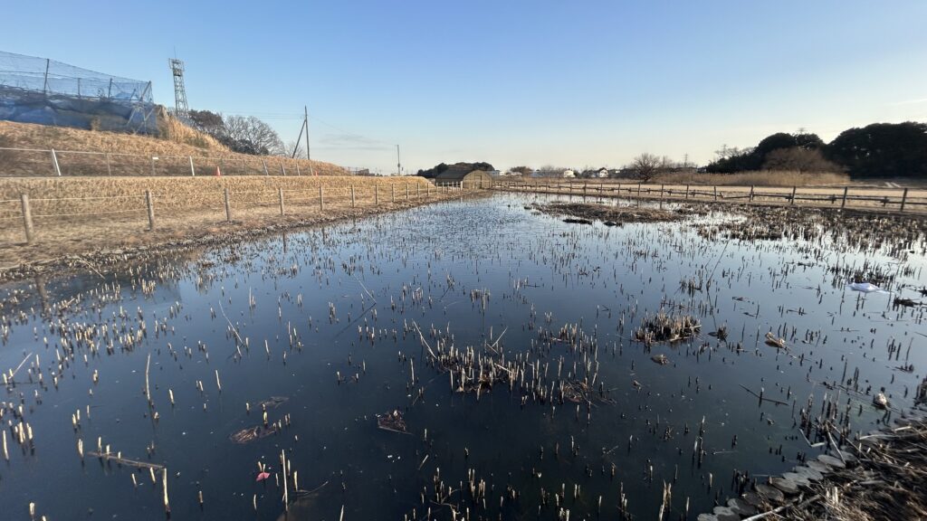 内牧黒沼公園