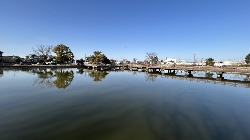 薬師沼親水公園