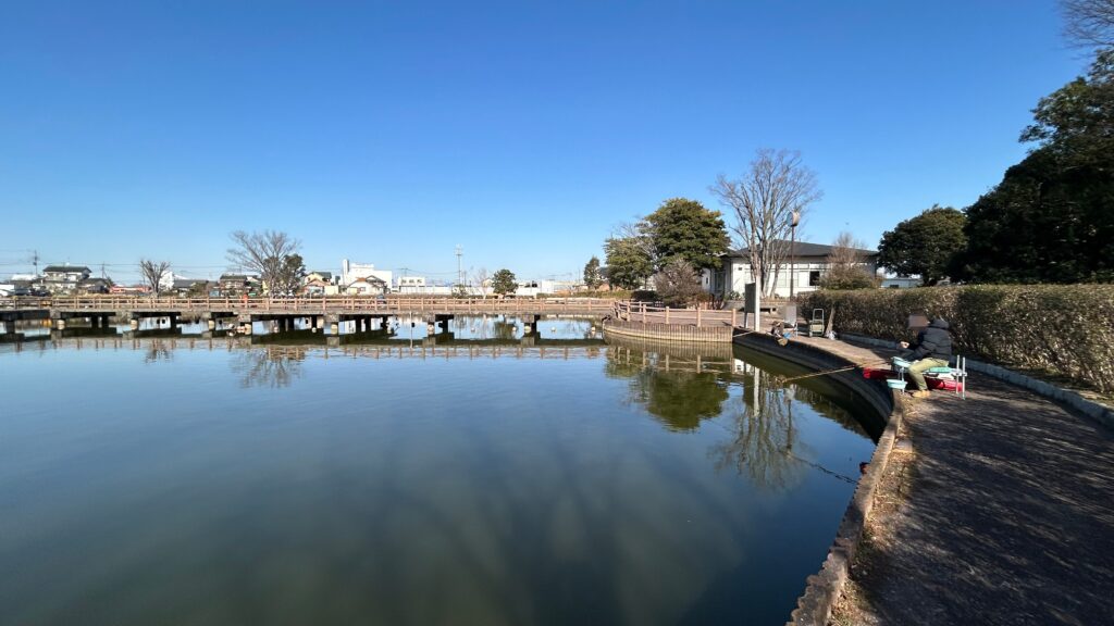 薬師沼親水公園