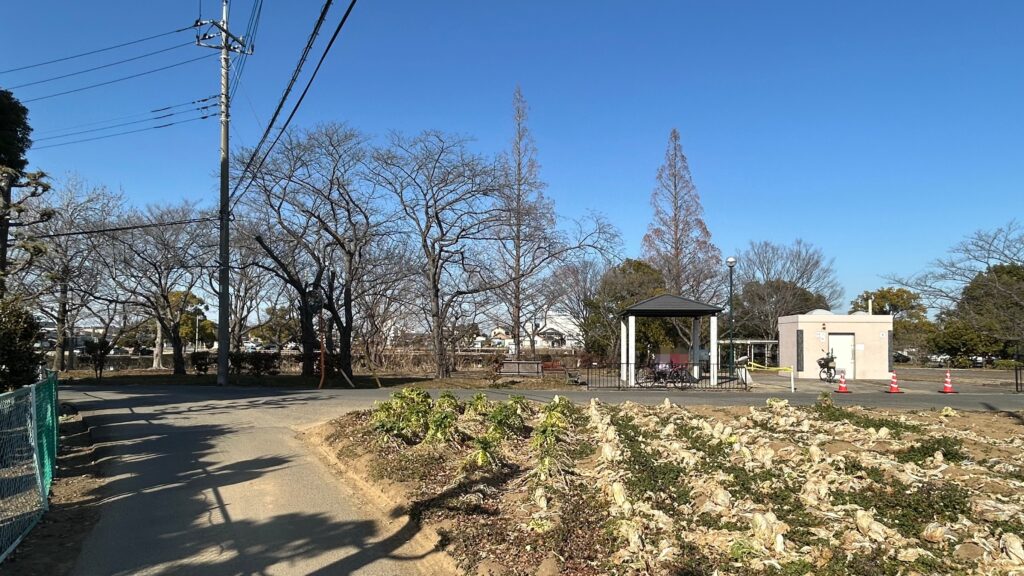 薬師沼親水公園