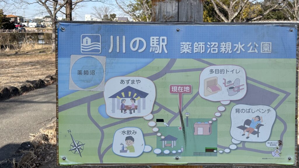 薬師沼親水公園