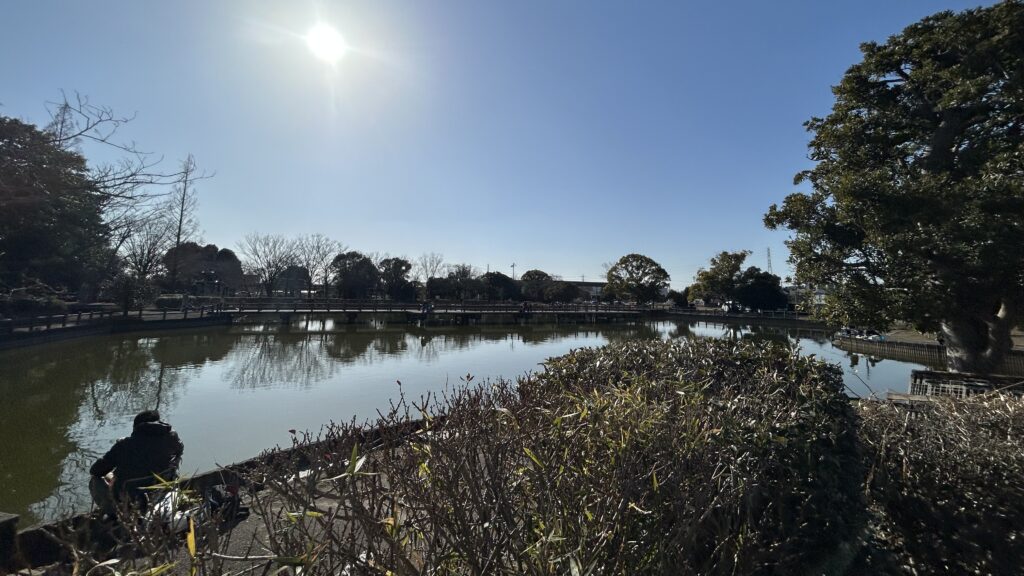 薬師沼親水公園